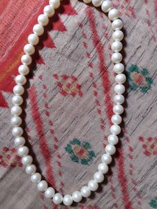 Classic White Pearl Necklace🤍