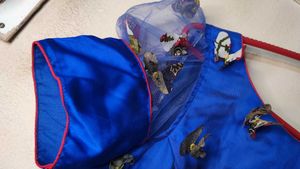 3D Butterfly Gown for women.