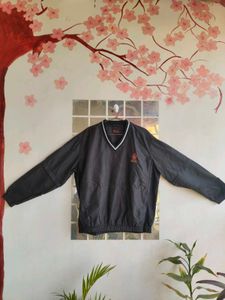 Men's V-Neck Pullover Polyster sweatshirt