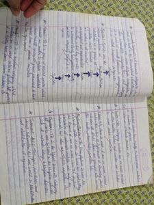 Class 11 Biology Notes