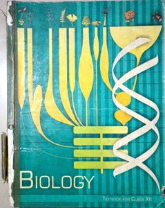 Class XII NCERT Textbooks