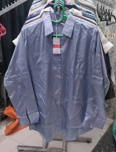 Blue Button-Down Shirt