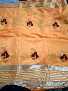 Elegant Orange Saree with Embroidery