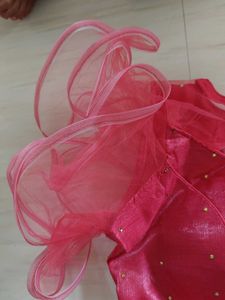 Stunning Pink Embellished Blouse with net sleeves
