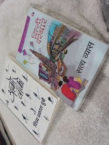 Fiction Books Bundle hindi book