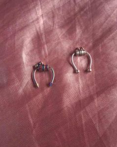 Magnetic Septum Rings