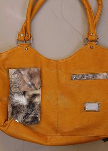 Combo Of 3 Cute Bear Backpack