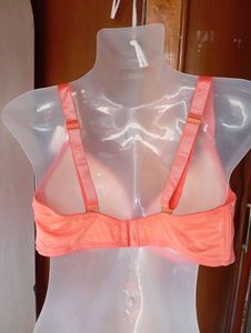 Coral Padded Underwire Bra