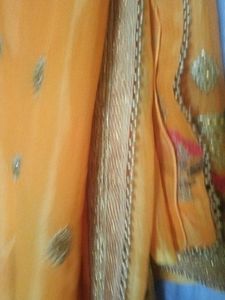Vibrant Orange Saree with Embellishments