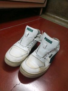 PUMA SkateCat Drift Sneakers (White-Malachite) – M