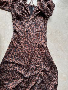 Women Leopard Print A- line dress