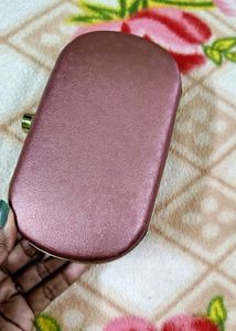 Tiger Embellished Clutch