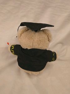Graduation Teddy Bear Toy