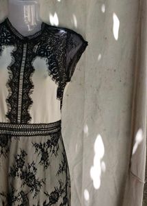 Elegant Black Lace Mini Dress