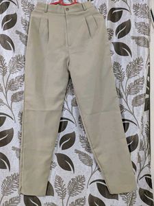 Beige Pleated Trousers - Classic Style