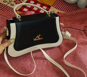 handbag