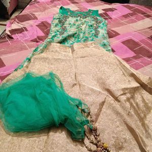 Elegant Green &amp; Gold Lehenga Choli