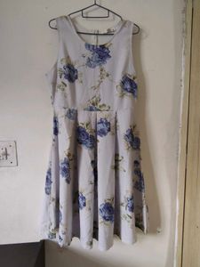 Floral Print Sleeveless Dress