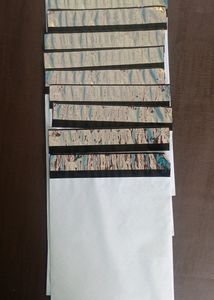 Remy Packaging 6*8 Inch Poly Bags