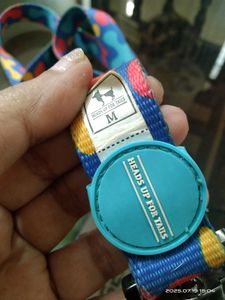 Free - Colorful Dog Leash
