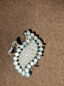 Sparkly Hair Clip Collection (6 pieces)