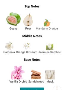 Rihanna Rbel Fleur And Nude
