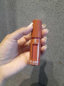 Color Strokes Lip Gloss