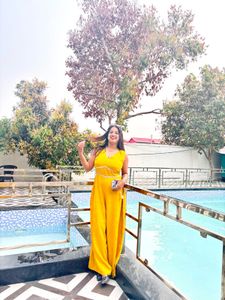 Elegant Mustard Ethnic Gown