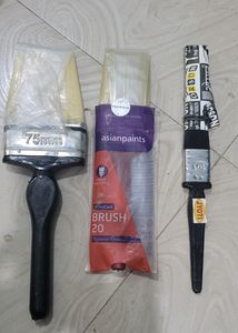 Paint Brush (Pack3)