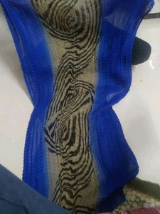 Fancy Big Duptas