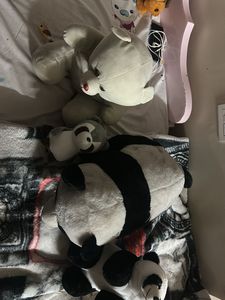 Cute Panda Plush Toys Bundle