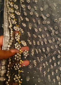 Embellished Saree