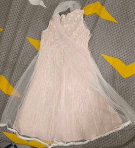 Elegant Cream Ethnic Gown