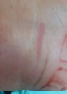 Original Loreal Paris Lip Liner