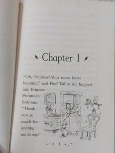 Fashion Fairy Princess Primrose Book