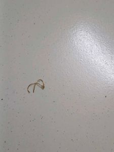 Gold Nose Pin piece broken