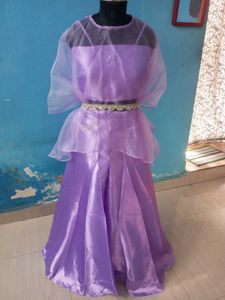 different types Purple Organza plazo Set