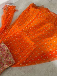 Orange Net Lehenga Choli with Golden Embellishment