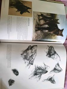 Drawing and Painting Animals with Expression