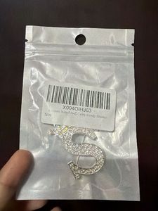 Sparkling "S" Letter Brooch