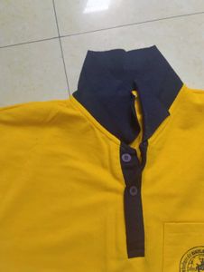Men's Yellow &amp; Navy Polo Shirt