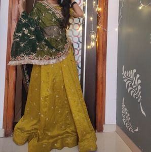 Embroidered Lehenga Choli Set