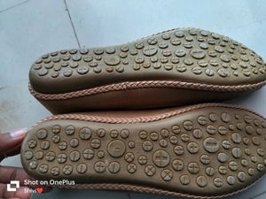 New Golden Bellies (Size-43)