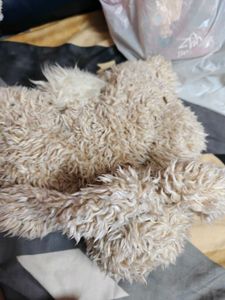 jellycat bunny