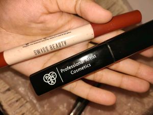 Assorted Lipsticks and Liners Collection