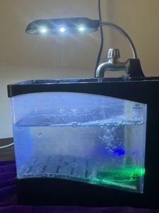 Portable Aquarium with LED Light