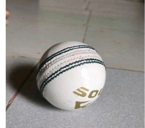 Waterproof Cricket Ball #Cricket Bal