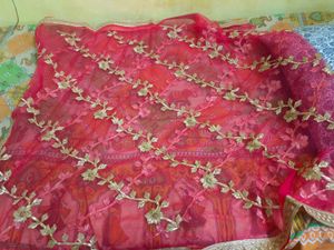 Designer Dupatta with Gold Embroidery