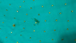 Elegant Teal Embroidered Saree...