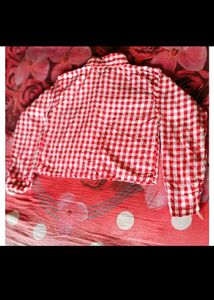 Red Gingham Button-Up Shirt